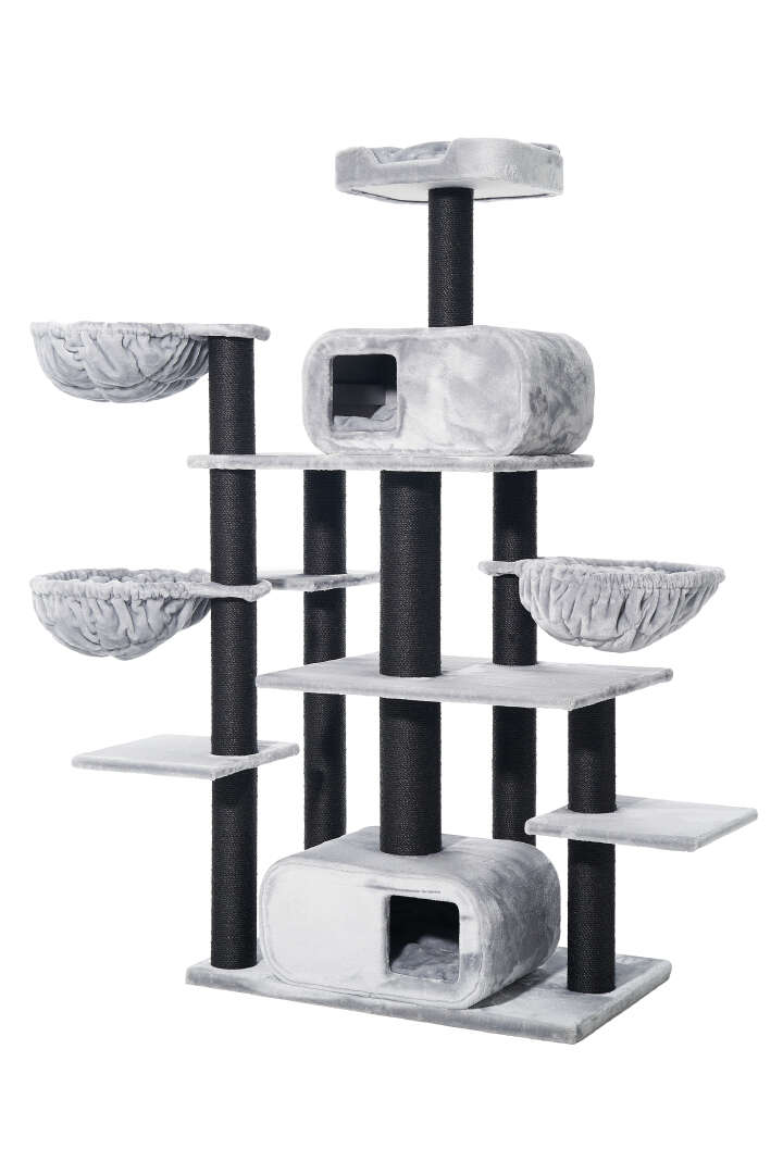 Nobby Kratzbaum Todor